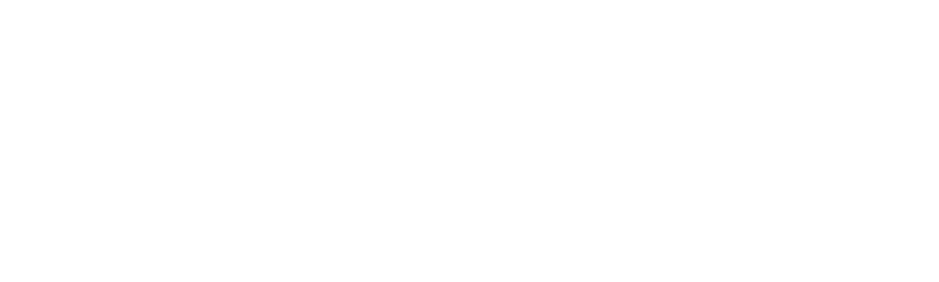 iDEV